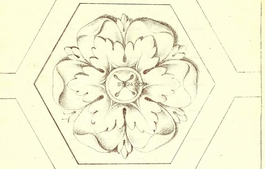 ROSETTE_1383